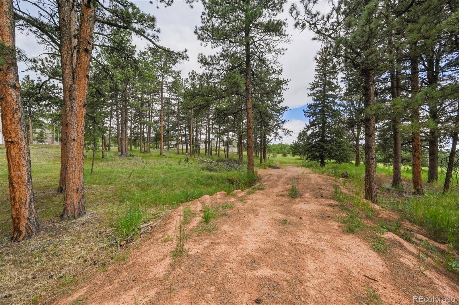 Woodland Park, CO 80863,220 Wildrose CT