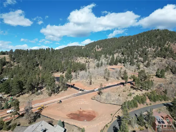 Woodland Park, CO 80863,14 Blue Haven PL