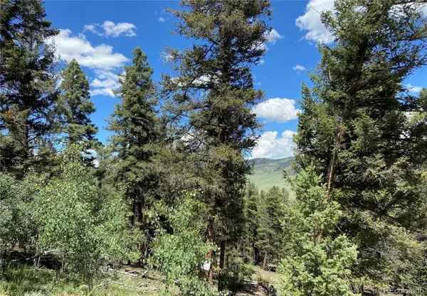 Fairplay, CO 80440,Middle Fork