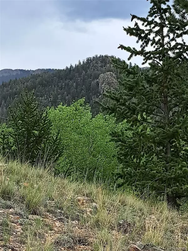 Jefferson, CO 80456,639 Spade PL