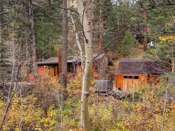 Golden, CO 80403,10853 Twin Spruce RD