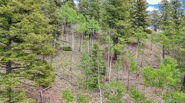 Cripple Creek, CO 80813,626 Little Topsey DR