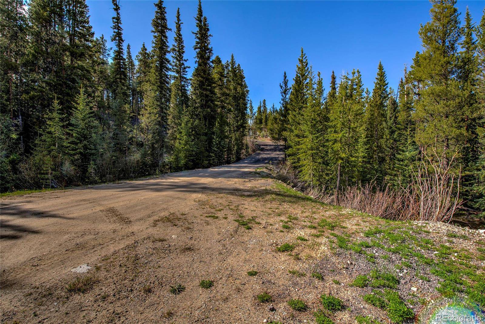 Breckenridge, CO 80424,163 Lakeview DR