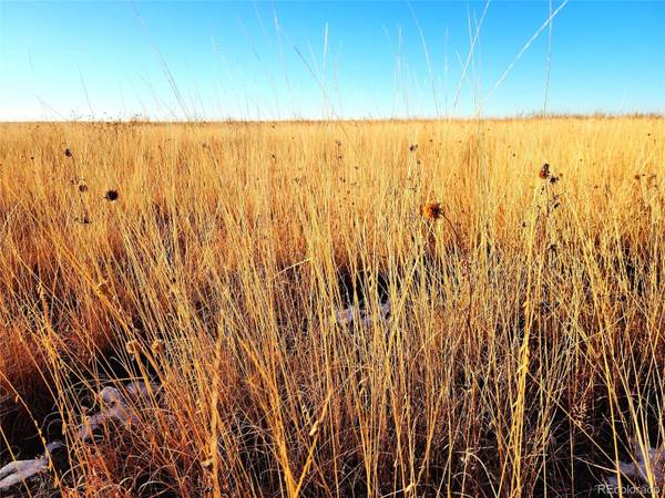 Eads, CO 81036,County Road 30