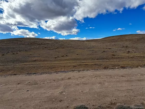 Hartsel, CO 80449,0 Park AVE