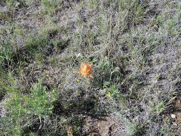 Jefferson, CO 80456,1327 Michigan Hill RD