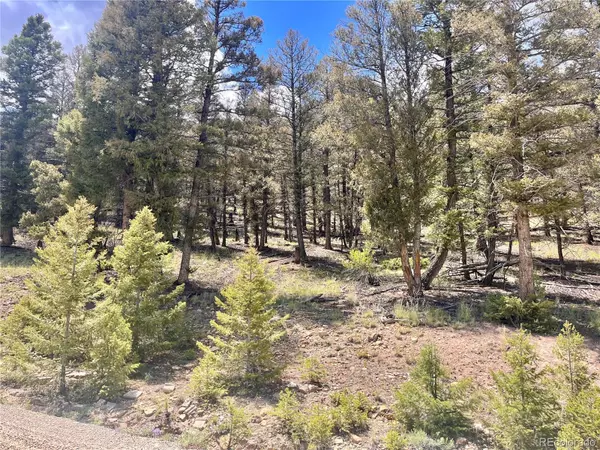 3015 Redhill RD, Fairplay, CO 80440