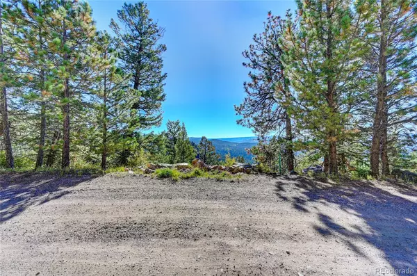 Conifer, CO 80433,11723 Braun WAY