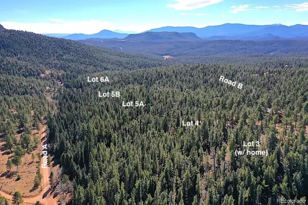 Pine, CO 80470,2137 Hidden Valley BLVD