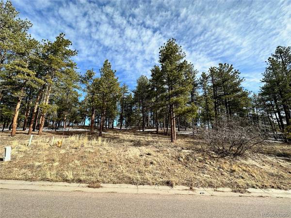 1315 Fremont DR, Larkspur, CO 80118