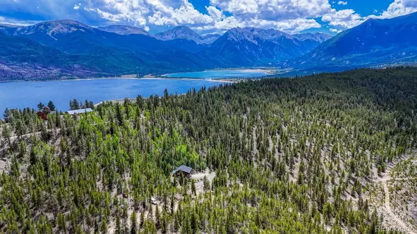 Twin Lakes, CO 81251,404 Quartz DR