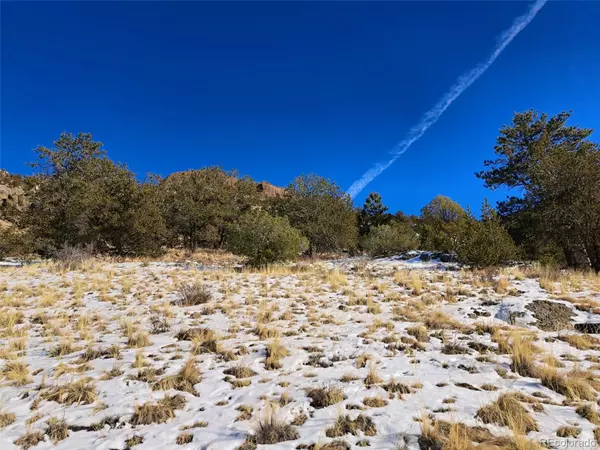 Guffey, CO 80820,0 Castle Mountain PASS