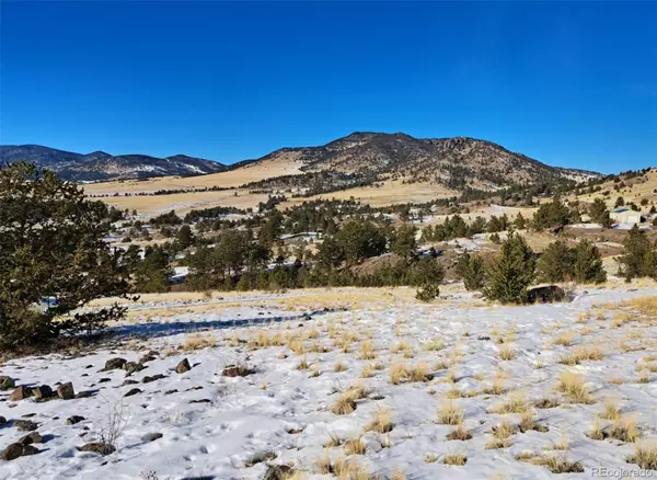 Guffey, CO 80820,0 Castle Mountain PASS