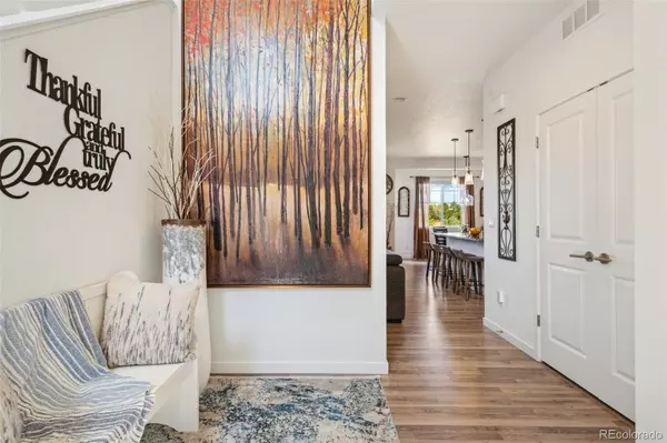 Castle Rock, CO 80104,749 Bishop Pine WAY
