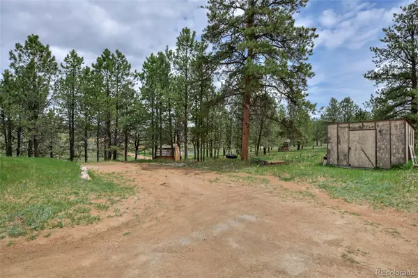 Florissant, CO 80816,455 Matterhorn DR