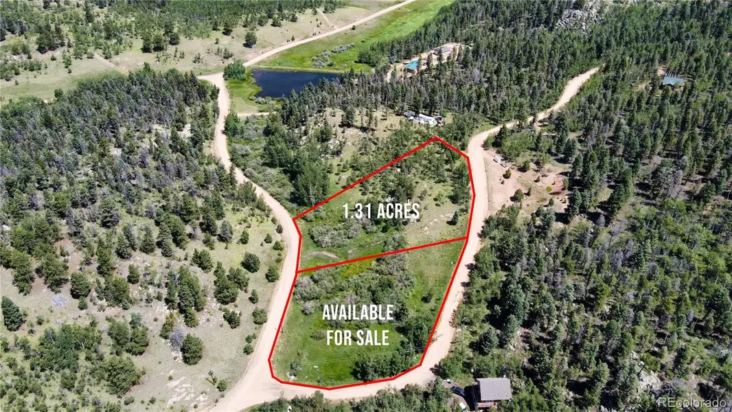 87 Eagle Rock RD, Florissant, CO 80816