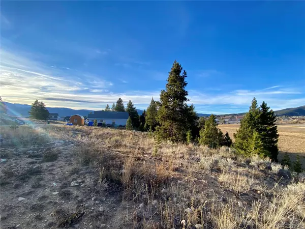 Leadville, CO 80461,140 Brooklyn CIR