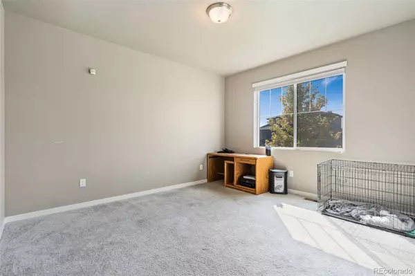 Wellington, CO 80549,3904 Sweetgum ST