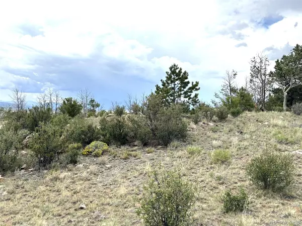 Hartsel, CO 80449,1626 Mahican RD