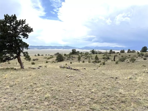 Hartsel, CO 80449,1626 Mahican RD