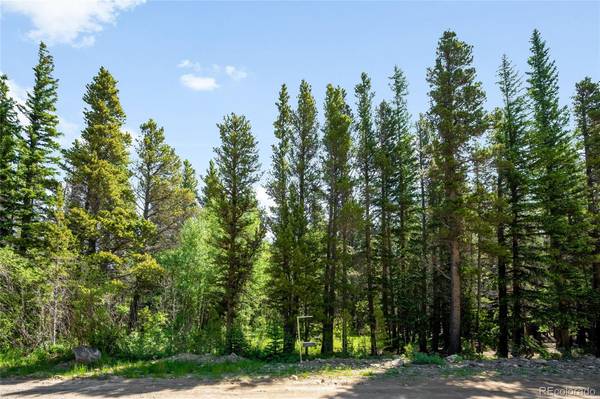 112 Deer RD, Idaho Springs, CO 80452