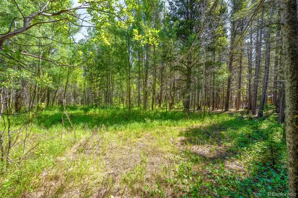 Idaho Springs, CO 80452,112 Deer RD