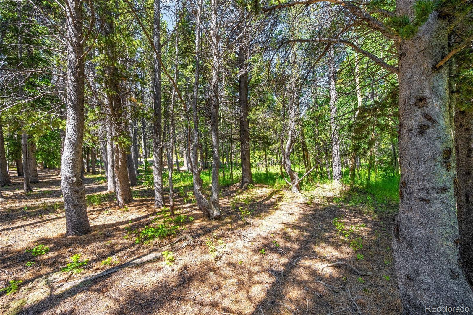 Idaho Springs, CO 80452,112 Deer RD