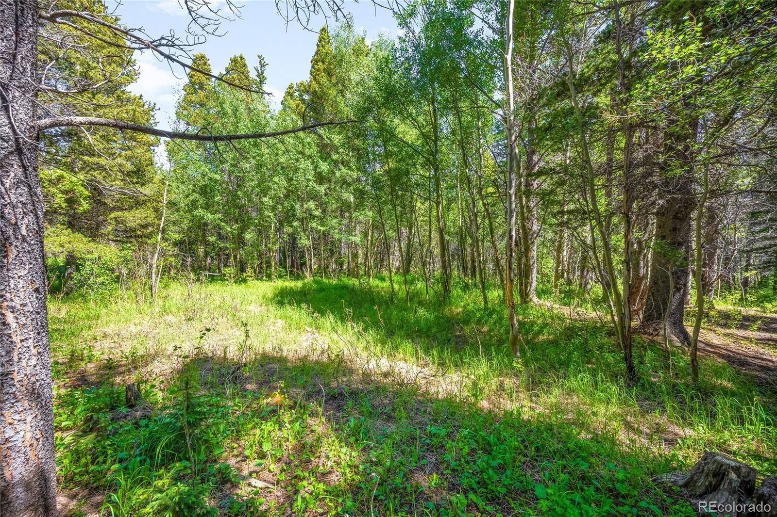 Idaho Springs, CO 80452,112 Deer RD
