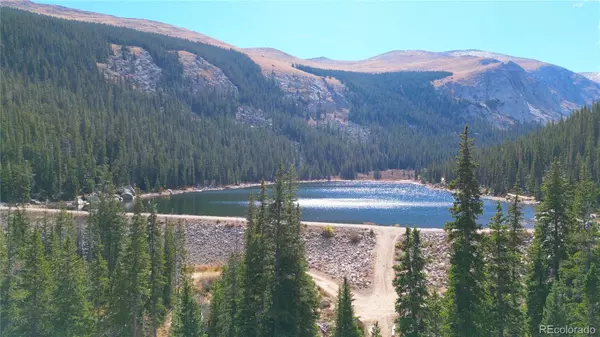 Idaho Springs, CO 80452,South Lot Chicago Creek RD