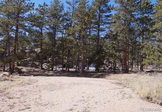 Red Feather Lakes, CO 80545,121 Piney Knolls DR