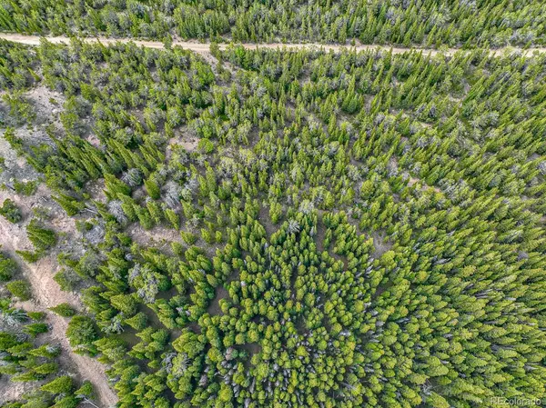 Black Hawk, CO 80422,111 Mosquito Creek RD