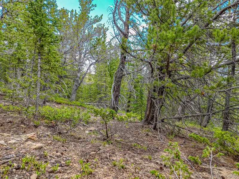 111 Mosquito Creek RD, Black Hawk, CO 80422
