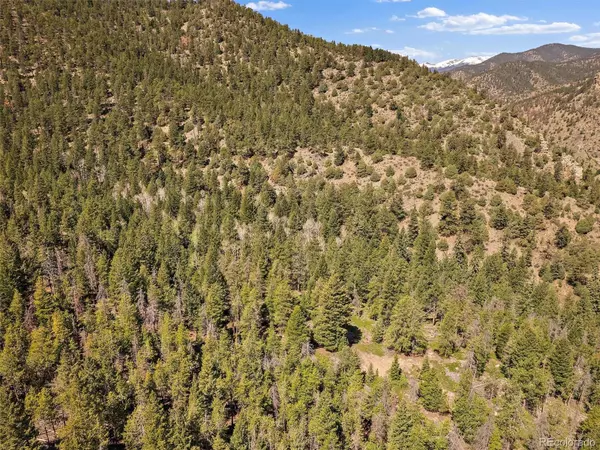 Idaho Springs, CO 80452,000 County Road 314