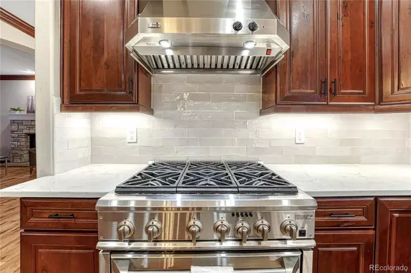 Lone Tree, CO 80124,10459 Rivington CT