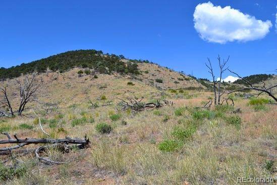 Cotopaxi, CO 81223,25th TRL