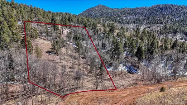 Cripple Creek, CO 80813,513 Last Dollar DR
