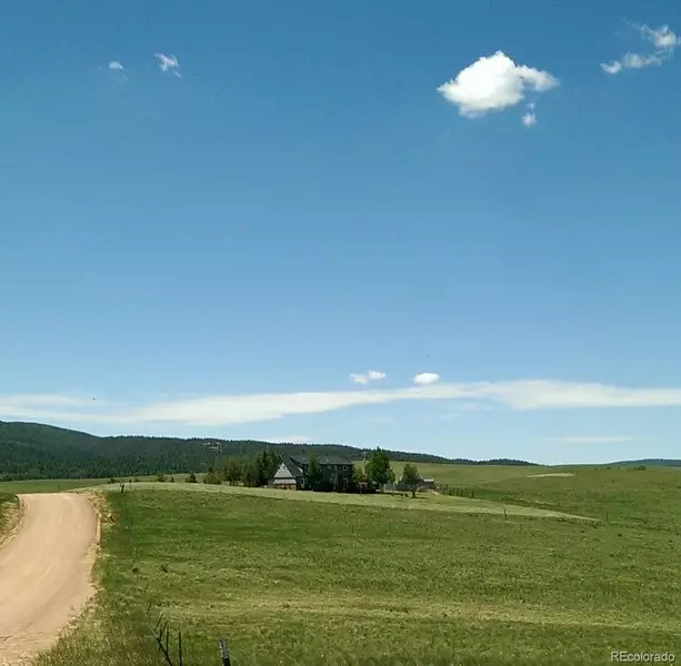 251 County Rd 25, Divide, CO 80814