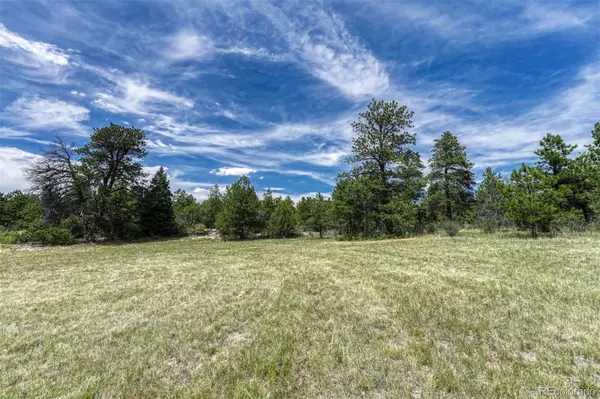 Colorado Springs, CO 80908,6060 Old Ranch RD
