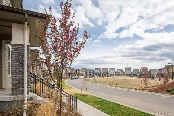 Denver, CO 80238,2834 Macon WAY