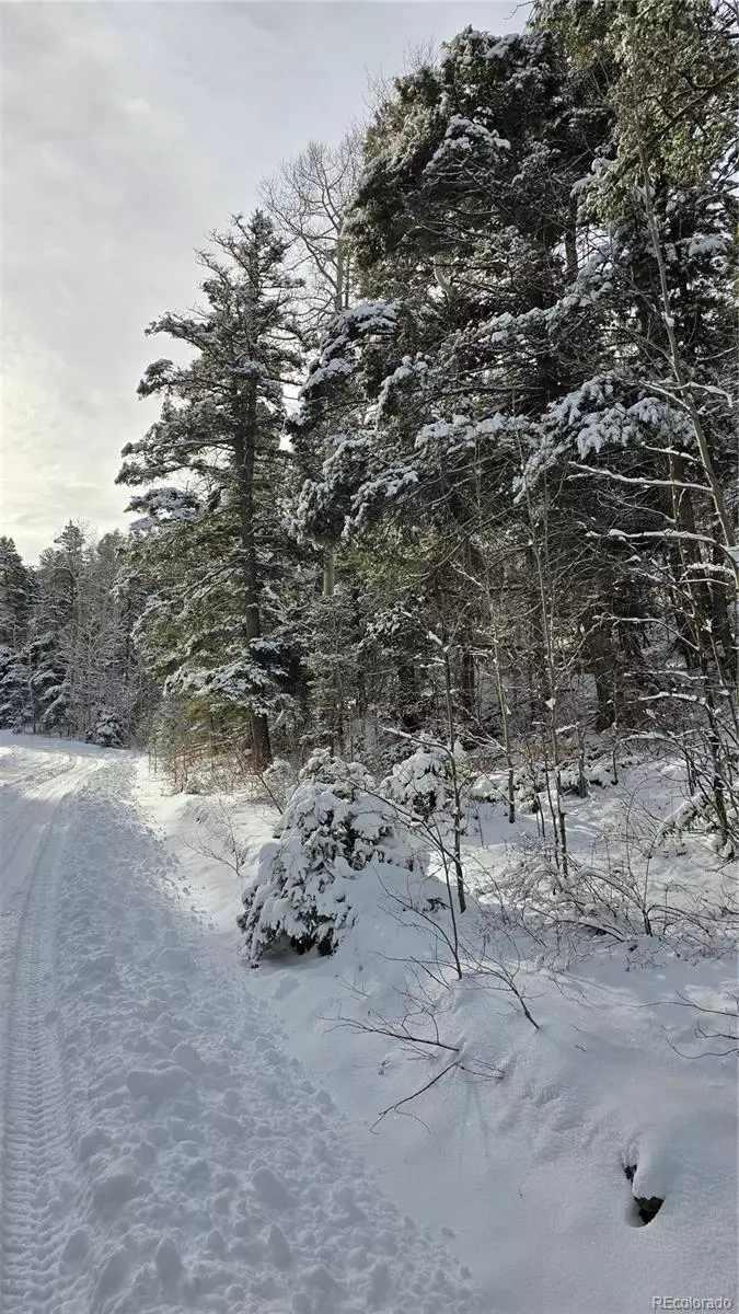 Fort Garland, CO 81133,Lot 5540 Joy RD