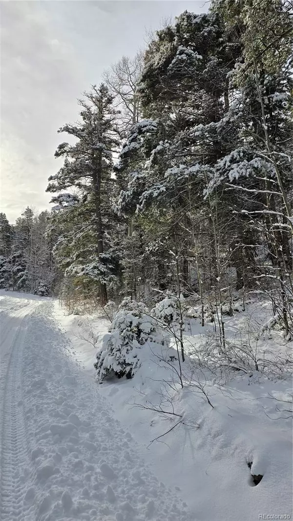 Lot 5540 Joy RD, Fort Garland, CO 81133