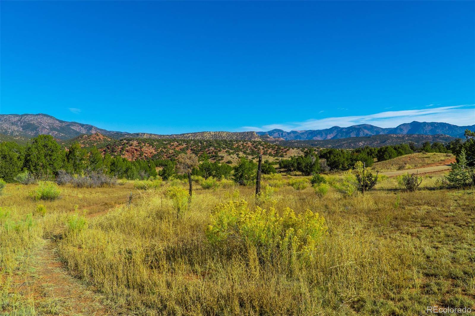 Canon City, CO 81215,Shaws Park Trail