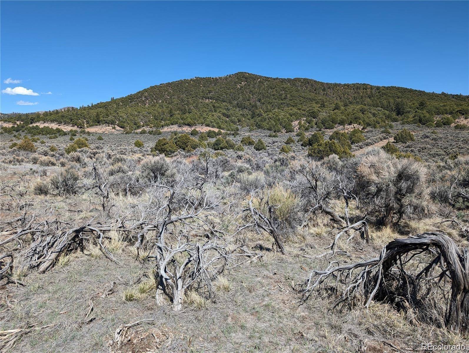 Fort Garland, CO 81133,Lot 7504 Boseman