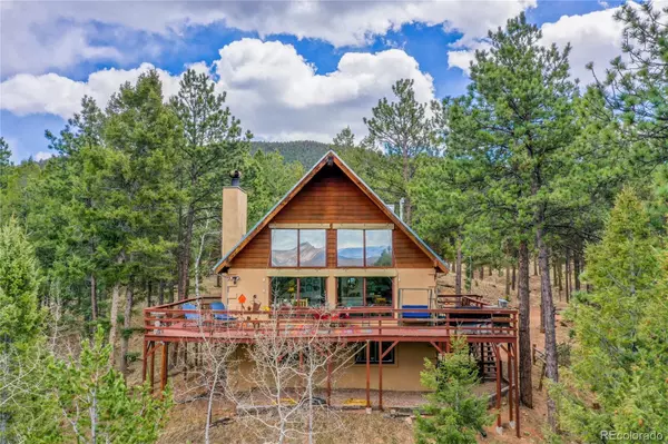 Woodland Park, CO 80863,2169 Spruce RD