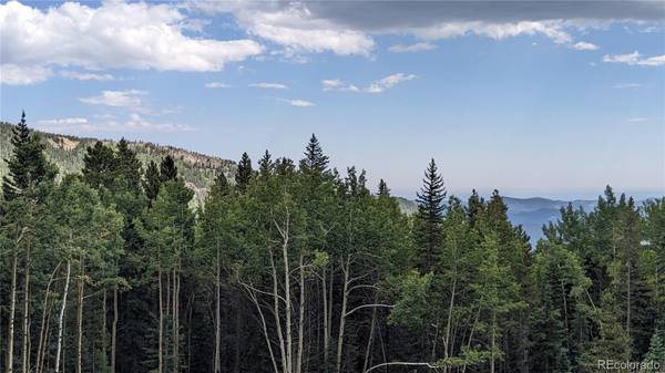 Idaho Springs, CO 80452,429 Sawmill LN