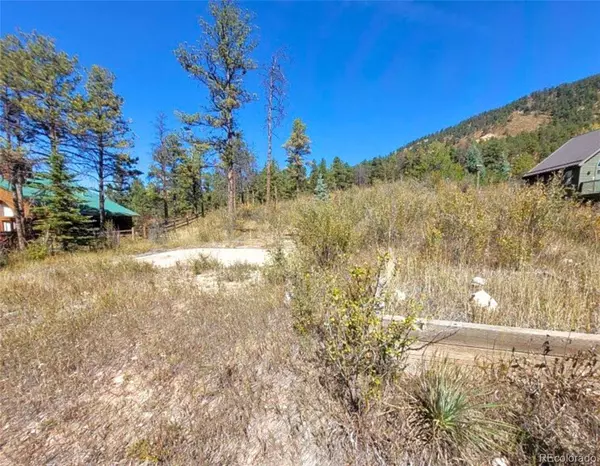 Woodland Park, CO 80863,520 Sunny Glen CT