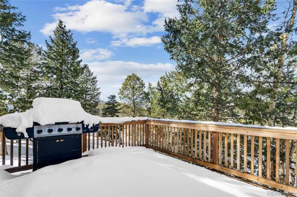 Bailey, CO 80421,762 Quakie WAY