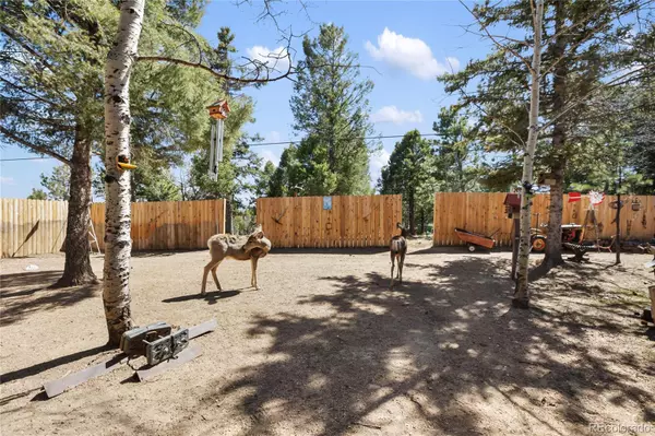 Woodland Park, CO 80863,166 Gentian RD