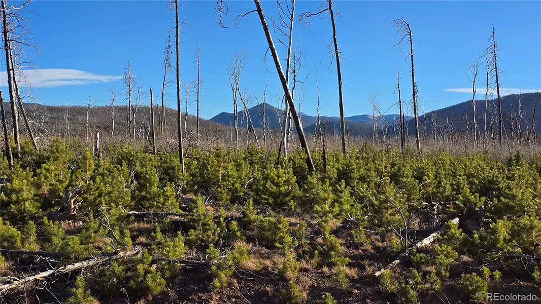 Lot 1505 Von Hyle LN, Fort Garland, CO 81133