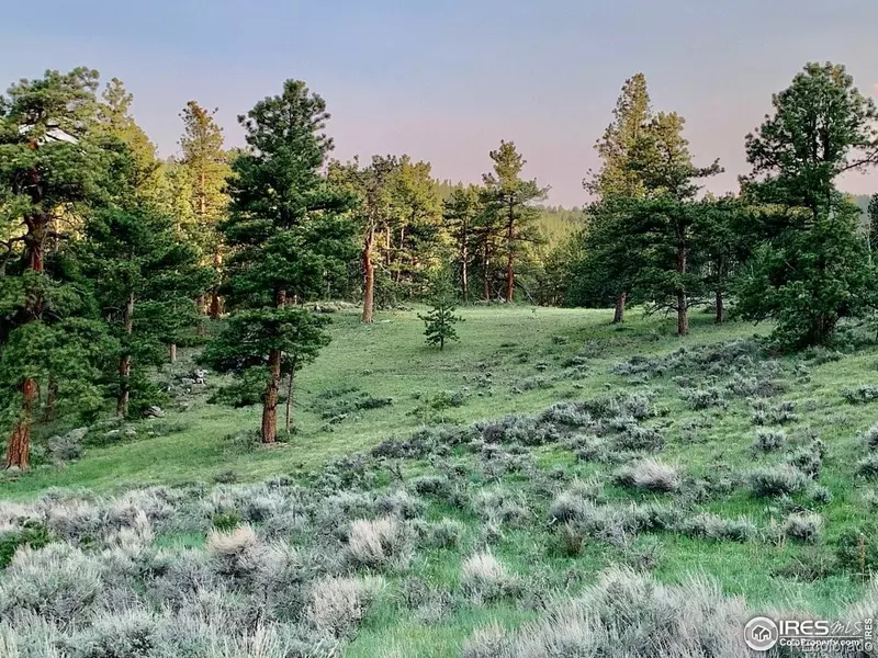 0 Beartrap RD, Red Feather Lakes, CO 80545